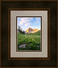 Load image into Gallery viewer, Timpanogos Meadow
