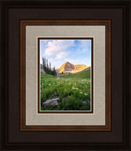 Load image into Gallery viewer, Timpanogos Meadow

