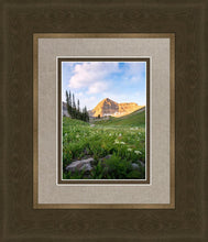 Load image into Gallery viewer, Timpanogos Meadow
