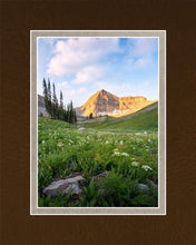 Load image into Gallery viewer, Timpanogos Meadow
