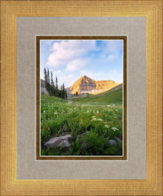 Load image into Gallery viewer, Timpanogos Meadow
