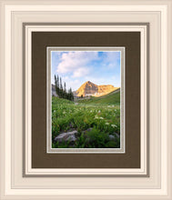 Load image into Gallery viewer, Timpanogos Meadow
