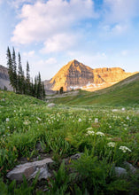 Load image into Gallery viewer, Timpanogos Meadow
