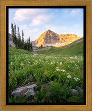 Load image into Gallery viewer, Timpanogos Meadow
