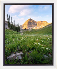 Load image into Gallery viewer, Timpanogos Meadow
