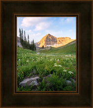 Load image into Gallery viewer, Timpanogos Meadow
