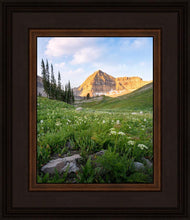 Load image into Gallery viewer, Timpanogos Meadow
