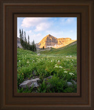 Load image into Gallery viewer, Timpanogos Meadow
