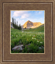 Load image into Gallery viewer, Timpanogos Meadow
