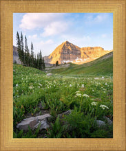 Load image into Gallery viewer, Timpanogos Meadow
