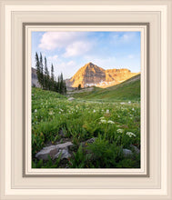 Load image into Gallery viewer, Timpanogos Meadow
