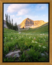 Load image into Gallery viewer, Timpanogos Meadow
