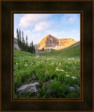 Load image into Gallery viewer, Timpanogos Meadow
