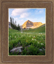 Load image into Gallery viewer, Timpanogos Meadow

