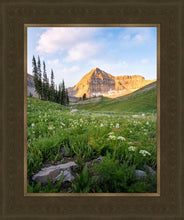 Load image into Gallery viewer, Timpanogos Meadow
