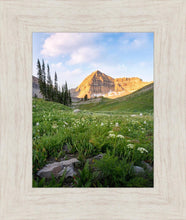 Load image into Gallery viewer, Timpanogos Meadow
