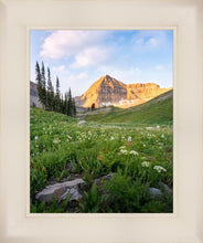 Load image into Gallery viewer, Timpanogos Meadow
