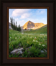 Load image into Gallery viewer, Timpanogos Meadow
