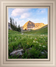 Load image into Gallery viewer, Timpanogos Meadow
