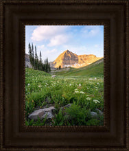 Load image into Gallery viewer, Timpanogos Meadow
