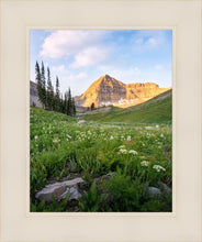 Load image into Gallery viewer, Timpanogos Meadow

