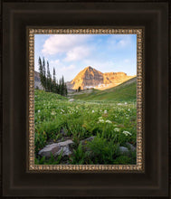 Load image into Gallery viewer, Timpanogos Meadow
