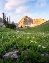 Load image into Gallery viewer, Timpanogos Meadow
