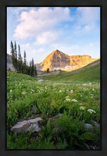 Load image into Gallery viewer, Timpanogos Meadow
