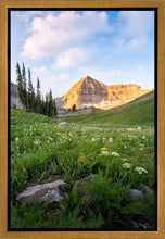 Load image into Gallery viewer, Timpanogos Meadow
