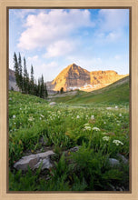 Load image into Gallery viewer, Timpanogos Meadow
