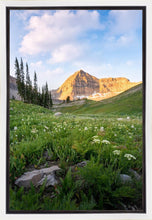 Load image into Gallery viewer, Timpanogos Meadow
