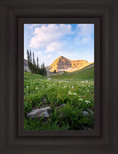 Load image into Gallery viewer, Timpanogos Meadow
