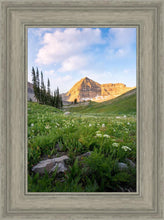Load image into Gallery viewer, Timpanogos Meadow
