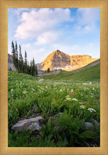 Load image into Gallery viewer, Timpanogos Meadow
