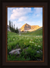 Load image into Gallery viewer, Timpanogos Meadow

