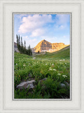 Load image into Gallery viewer, Timpanogos Meadow
