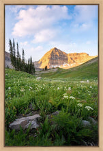 Load image into Gallery viewer, Timpanogos Meadow
