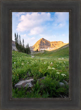 Load image into Gallery viewer, Timpanogos Meadow
