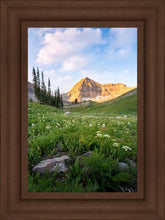 Load image into Gallery viewer, Timpanogos Meadow
