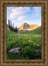 Load image into Gallery viewer, Timpanogos Meadow
