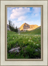 Load image into Gallery viewer, Timpanogos Meadow

