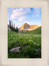 Load image into Gallery viewer, Timpanogos Meadow
