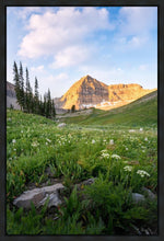 Load image into Gallery viewer, Timpanogos Meadow
