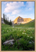 Load image into Gallery viewer, Timpanogos Meadow
