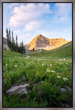 Load image into Gallery viewer, Timpanogos Meadow
