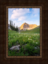 Load image into Gallery viewer, Timpanogos Meadow
