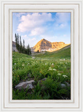 Load image into Gallery viewer, Timpanogos Meadow
