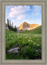 Load image into Gallery viewer, Timpanogos Meadow
