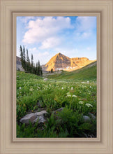 Load image into Gallery viewer, Timpanogos Meadow
