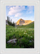Load image into Gallery viewer, Timpanogos Meadow
